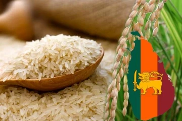 அரிசி கையிருப்பு குறித்து விவசாய அமைச்சு வெளியிட்ட அறிவிப்பு