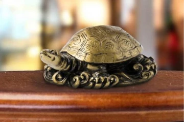 ஆமை புகுந்த வீட்டில் இந்த நன்மையும் நடக்குமாம்!