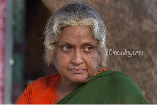 ஒரே இரவில் நடுரோட்டிற்கு வந்துவிட்டோம்- வாழ்க்கையில் நடந்த சோகமான விஷயத்தை கூறிய நடிகை வடிவுக்கரசி | Actress Vadivukarasi Shares About Her Life Journey