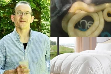 வீட்டில் விசித்திரமாக அங்குமிங்கும் சுற்றி திரிந்த பூனை! தூங்கி எழுந்த பிரித்தானியருக்கு காத்திருந்த அதிர்ச்சி