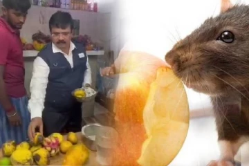 எலி கடித்த பழங்களில் ஜூஸ் - உணவு பாதுகாப்பு அதிகாரிகள் அதிரடி சோதனை!