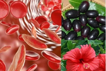 உடலில் ரத்த உற்பத்தி சரசரவென அதிகரிக்கனுமா? இந்த எளிய வீட்டு உணவுகள் போதும்