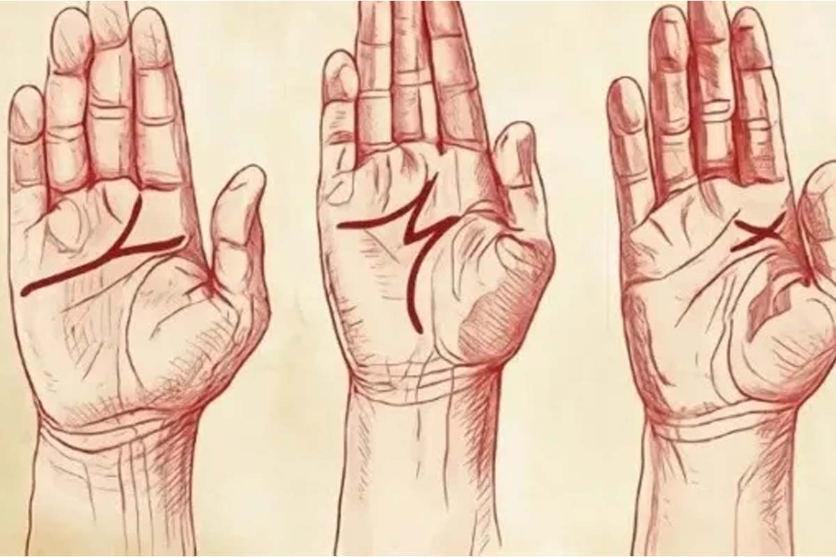 உங்களது கை ரேகையில் M, Y, X எழுத்து தெரியுதா? கர்ம ரேகை கூறுவது இதுதான் | The Letter In Your Palm Tell About Your Future