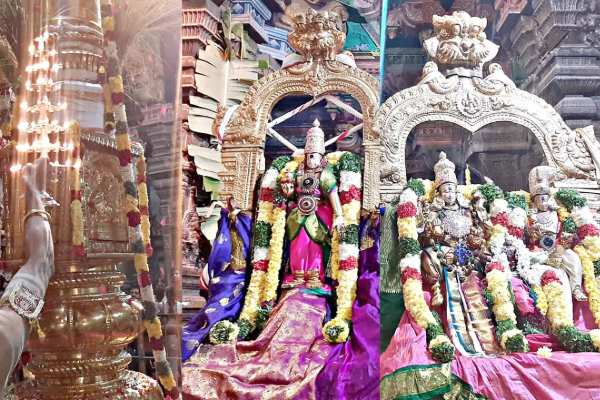 காண கிடைக்காத காட்சி- மதுரை மீனாட்சி அம்மனை இந்த நாளில் மட்டும் தரிசனம் செய்ய தவறாதீர்கள் | Madurai Meenatchi Amman Diamond Crown Pooja News