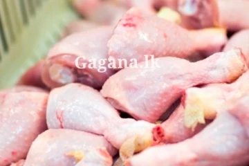 කුකුළු මස් මිලට මොකද වුණේ?. මේ දැන් ලැබුණ ආරංචියක් මෙන්න..