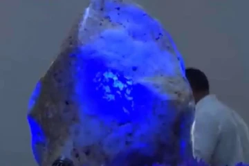 “ஆசியாவின் ராணி” இலங்கையில் கிடைத்த 300 கிலோ எடை கொண்ட நீலக்கல்