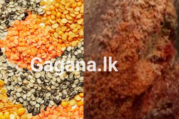 උපරිම සිල්ලර මිල නියම කිරීමට අදාළ නිර්දේශ අලුත් වෙයි..!