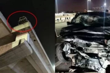 மேம்பாலத்தில் இருந்து தூக்கி வீசப்பட்ட தமிழர்கள் - வெளியான அதிர்ச்சியூட்டும் சிசிடிவி காட்சிகள்