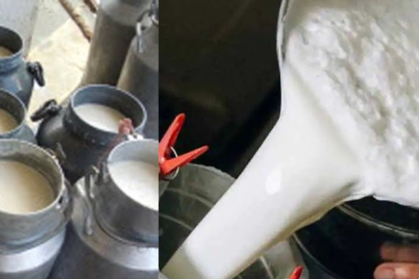 அடுத்தடுத்து அதிர்ச்சி - பால் விலை உயர்கிறது! | Subsequent Shock Milk Prices Rise