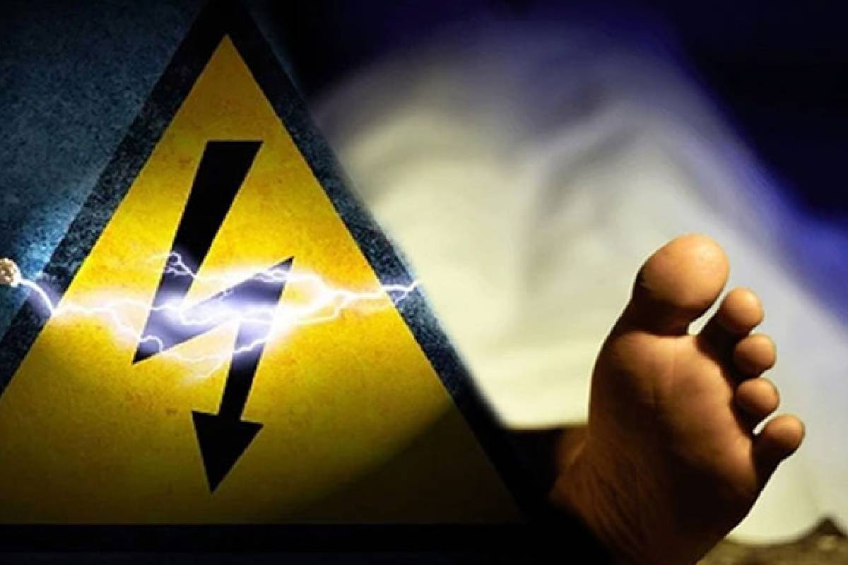 பயிர் நிலத்திற்கு நீர் பாய்ச்ச சென்றவருக்கு நேர்ந்த கதி - மட்டக்களப்பில் துயரம் | Person Dies After Being Electrocuted In Batticaloa