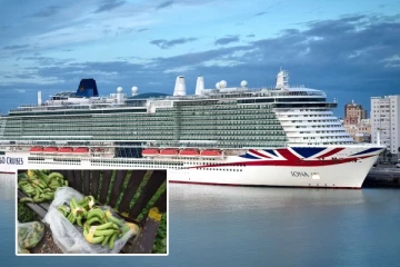 கடலில் விழுந்த வாழைப்பழங்கள்:பிரித்தானியாவில் புறப்படத் தயாரான பயணிகள் கப்பல் நிறுத்தம்