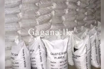 කල් පැන්න කෝටියක කෝස්ටික් සෝඩා රජයේ ආයතනයකින් හසු වූ හැටි.