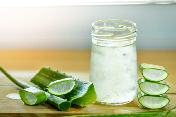 உச்சி முதல் பாதம் வரை - கற்றாழையின் அற்புத பயன்கள் | Aloe Vera Health Benefits In Tamil