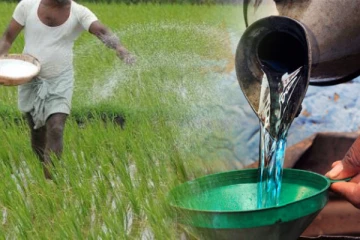 எரிபொருள் மற்றும் உரத்திற்கு மானியம் வழங்க அமைச்சரவை அங்கீகாரம்