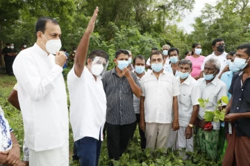 விவசாய நிலங்களைப் பார்வையிட்ட சஜித் பிரேமதாச!