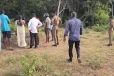 முல்லைத்தீவில் வயல் காவலுக்கு சென்ற இளைஞர் பரிதாப மரணம்