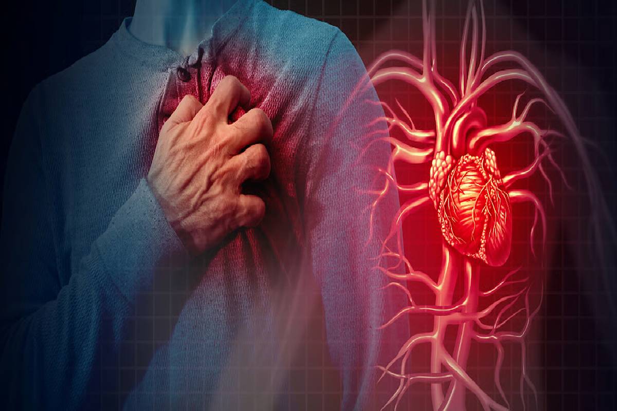 தினமும் ஆவியில் வேக வைத்த 1 நெல்லிக்காயை சாப்பிடுவதால் என்னென்ன நன்மைகள் கிடைக்கும் தெரியுமா? | Vega Vaithta Nellikai Sapituvathal Kitaikum Nanmai