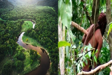 26 ஆண்டுகள் தனியாக... அமேசான் காட்டின் கடைசி மனிதர் மரணம்!