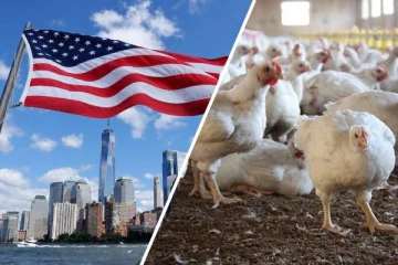 சீனாவை தொடர்ந்து அமெரிக்காவிற்கும்  பரவிய தொற்று!