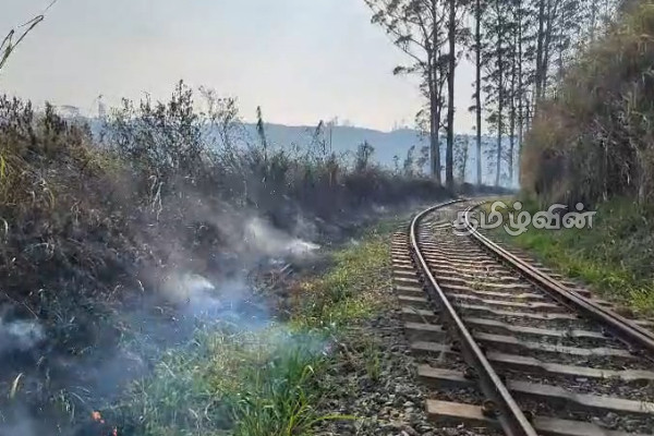 மலையக தொடருந்து பாதையை அண்டிய வனப்பகுதியில் தீப்பரவல்! | Fire Breaks Out In Forest Area Hatton Railway Line