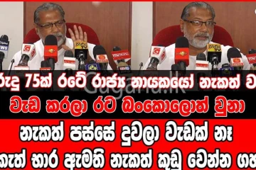 නැකත් පස්සේ දුවලා වැඩක් නෑ - නැකැත් භාර ඇමති නැකත් කුඩු වෙන්න ගහයි. - (VIDEO)