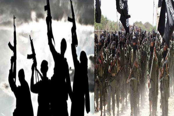 நபிகள் குறித்த சர்ச்சைப் பேச்சு : தற்கொலைப் படைத் தாக்குதல் நடத்துவோம் , மிரட்டும் அல்கொய்தா - தமிழ்நாடு