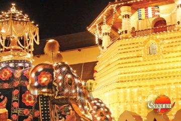 අවසන් රන්දෝලි පෙරහැර අද රෑට, බලන්න එන අය වෙනුවෙන් වැඩ ගොඩක්