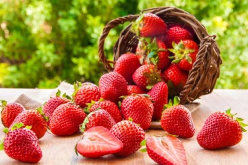 இலங்கையின் முதல் ஸ்டோபெரி கிராமம்; எங்கு தெரியுமா!