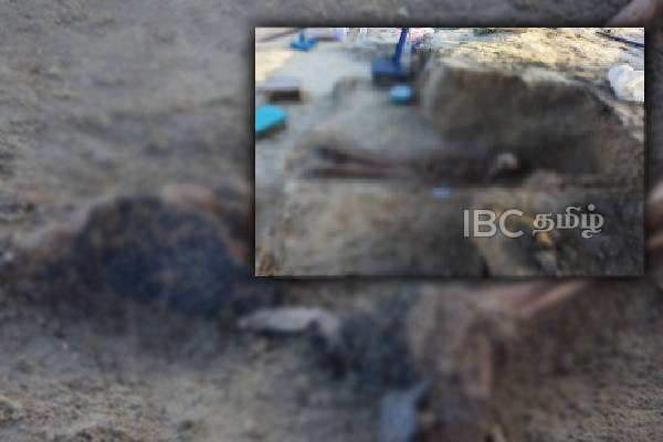 தற்காலிகமாக இடை நிறுத்தப்பட்ட செம்மணி அகழ்வு பணிகள் - காலில் செருப்புடன் எலும்புக்கூடு | Human Skeleton Buried Stock Photos In Chemmani