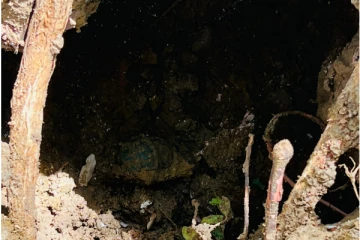 யாழில் கைக்குண்டு மீட்பு(Photos)