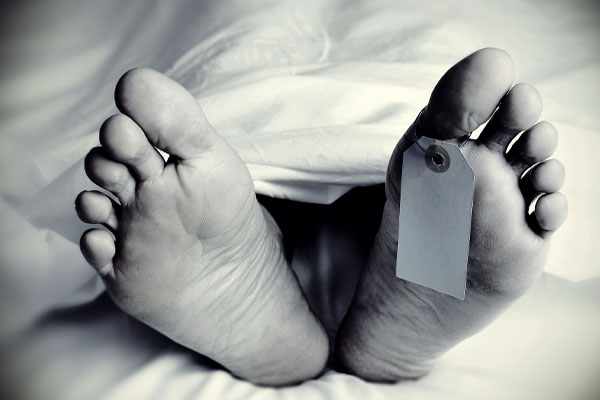 புத்தளத்தில் இரு ஆண்களுக்கு ஏற்பட்ட துயர சம்பவம் | Tragedy Happened To Two Men In Putthalam