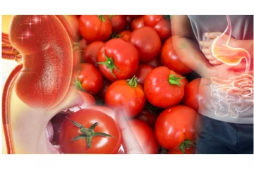 தக்காளி அதிகம் சாப்பிட்டால் உடலுக்கு இவ்வளவு ஆபத்து இருக்கா...? அறிந்து கொள்வோம்...