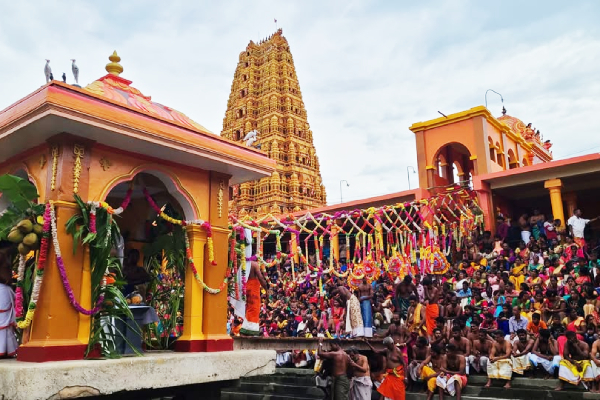 ஒட்டுசுட்டான் தான்தோன்றீஸ்வரர் ஆலயத்தில் மஹா சிவராத்திரா பெருவிழா! | Maha Shivaratri Pooja Sri Lankan Tamils ஒட்டுசுட்டான் தான்தோன்றீஸ்வரர் ஆலயத்தில் மஹா சிவராத்திரா பெருவிழா! | Maha Shivaratri Pooja Sri Lankan Tamils