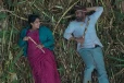 நூறு சாமி திரைப்படம் இதுவரை செய்துள்ள வசூல்.. பாக்ஸ் ஆபிஸ் ரிப்போர்ட்