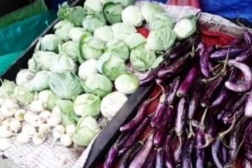 நுவரெலியா விவசாயிகள் மரக்கறி உற்பத்தியில் பெரும் பாதிப்பு (Video)