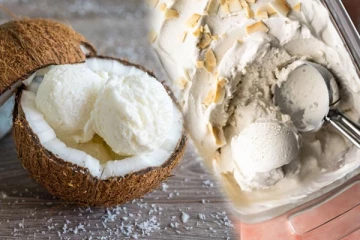 ஒரு தேங்காய் இருந்தால் போதும்.., ஒரு மணிநேரத்தில் ஐஸ்கிரீம் செய்திடலாம்