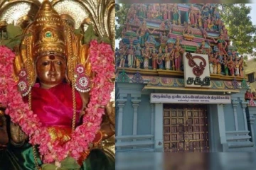 இரவு நேரத்தில் அம்மனை வழிபட்டு செல்லும் நாகம்!