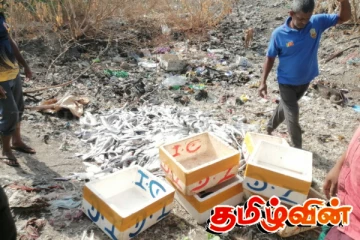 கிண்ணியா மீன் சந்தையில் அழிக்கப்பட்ட ஒருதொகை மீன்கள்
