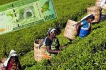 தோட்டத்தொழிலாளர் சம்பள விவகாரம்- பெருந்தோட்ட நிறுவனங்களின் சம்மேளனம் விடுத்துள்ள அறிவிப்பு!
