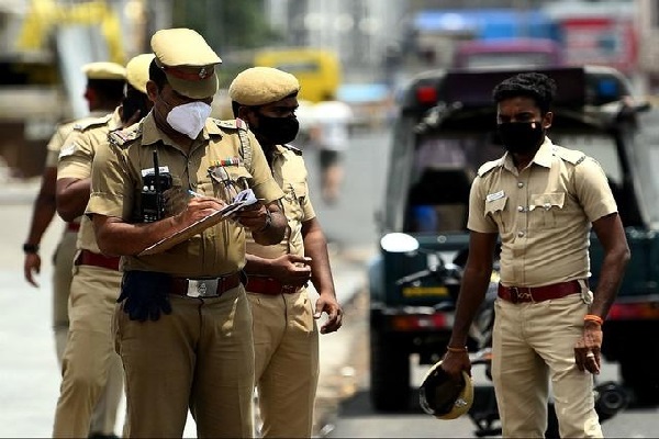 யாழ்ப்பாண புறா தனுஷ்கோடியில் தஞ்சம் - வெளிவந்த மேலதிக தகவல்கள் | Jaffna Pigeon Takes Refuge In Dhanushkodi
