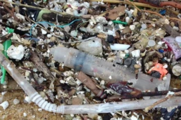 வெள்ளவத்தை கடற்கரையில் கொட்டப்படும் அபாயகரமான பொருட்கள்! அச்சத்தில் மக்கள்