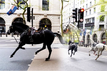 லண்டனில் இரத்தம் சொட்ட பாய்ந்து சென்ற குதிரைகளால் பரபரப்பு