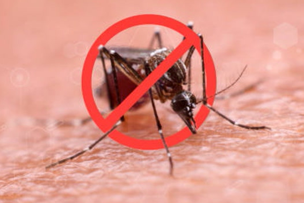 நாட்டில் மழை காரணமாக ஏற்பட்டுள்ள ஆபத்து | Dengue Chikungunya Threat Rises