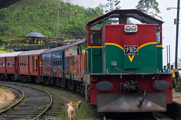 மலையக ரயில் போக்குவரத்தில் மாற்றம் ; ரயில்வே திணைக்களம் அறிவிப்பு | Changes In Upland Train Traffic Railway Department மலையக ரயில் போக்குவரத்தில் மாற்றம் ; ரயில்வே திணைக்களம் அறிவிப்பு | Changes In Upland Train Traffic Railway Department