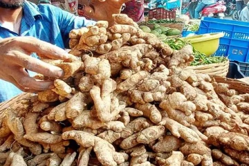 வானைத் தொட்ட இஞ்சியின் விலை ; குடும்பப் பட்ஜெட்டுக்கு புதிய சவால்