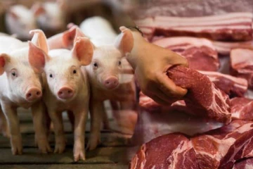 பன்றி இறைச்சி தொடர்பில் பொதுமக்களுக்கு விடுக்கப்பட்டுள்ள எச்சரிக்கை