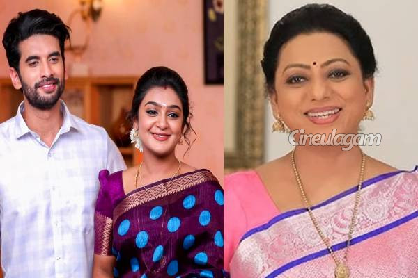 2025ல் எல்லா தொலைக்காட்சியையும் சேர்த்து இத்தனை சீரியல்கள் முடிவுக்கு வந்ததா?... முழு லிஸ்ட் இதோ | List Of Serials Which Ended In 2025