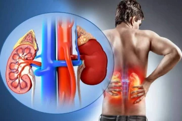 அடிக்கடி இந்த அறிகுறிகள் இருக்கா? அப்போ சிறுநீரக பாதிப்பு உறுதி