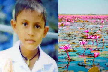 தாமரை மலர் பறிக்கச் சென்ற பாலகனுக்கு நேர்ந்த துயரம்