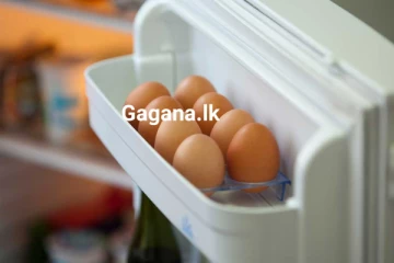 වහාම ක්‍රියාත්මක වන පරිදි අද සිට බිත්තරයක මිල ඉහළට